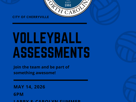 VOLLEYBALL ASSESSMENTS 