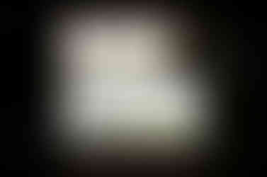 2021年從藝術家工作室外面的停車場望出去是這樣的景象。