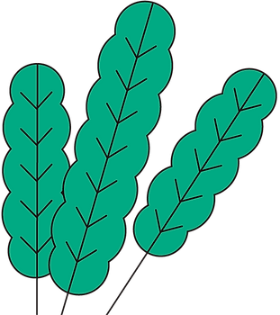 Info_Leaf_BG_01.png