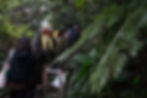 Thumbnail: 5/23(六) 工作坊 │蕨類探險家：植物敲拓染掛布工作坊