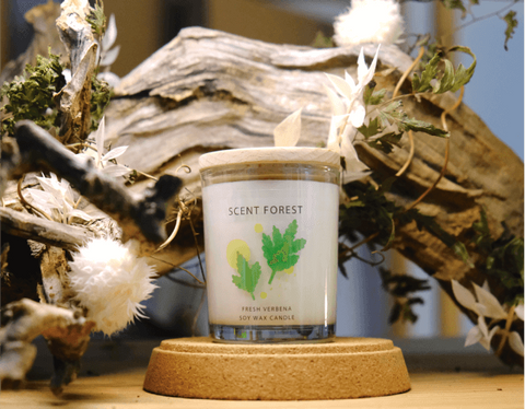 香氛森林 | 大豆香氛蠟燭