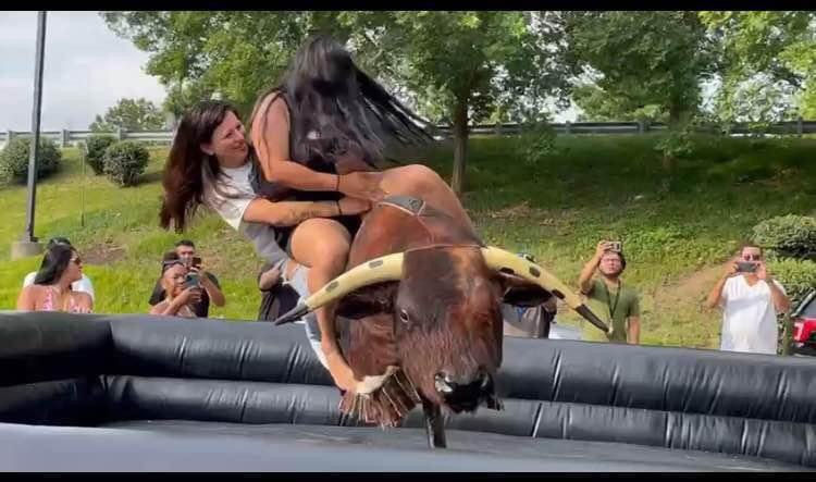 mechanical bull