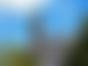 Booking.com B.V. v. United States Patent and Trademark Office (USPTO)