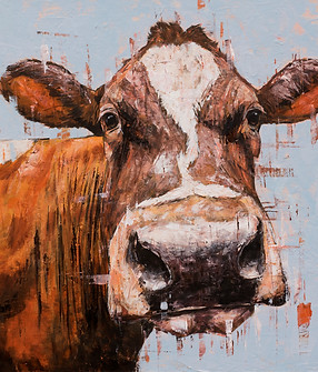 COW ORANGE 03 09 24.jpg