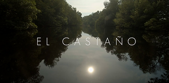 Captura de Pantalla 2022-02-09 a la(s) 14.51.12.png