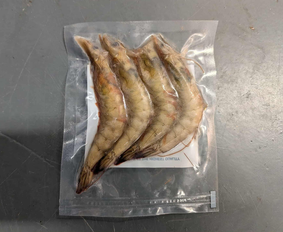 Frozen Prawns For Sea Fishing