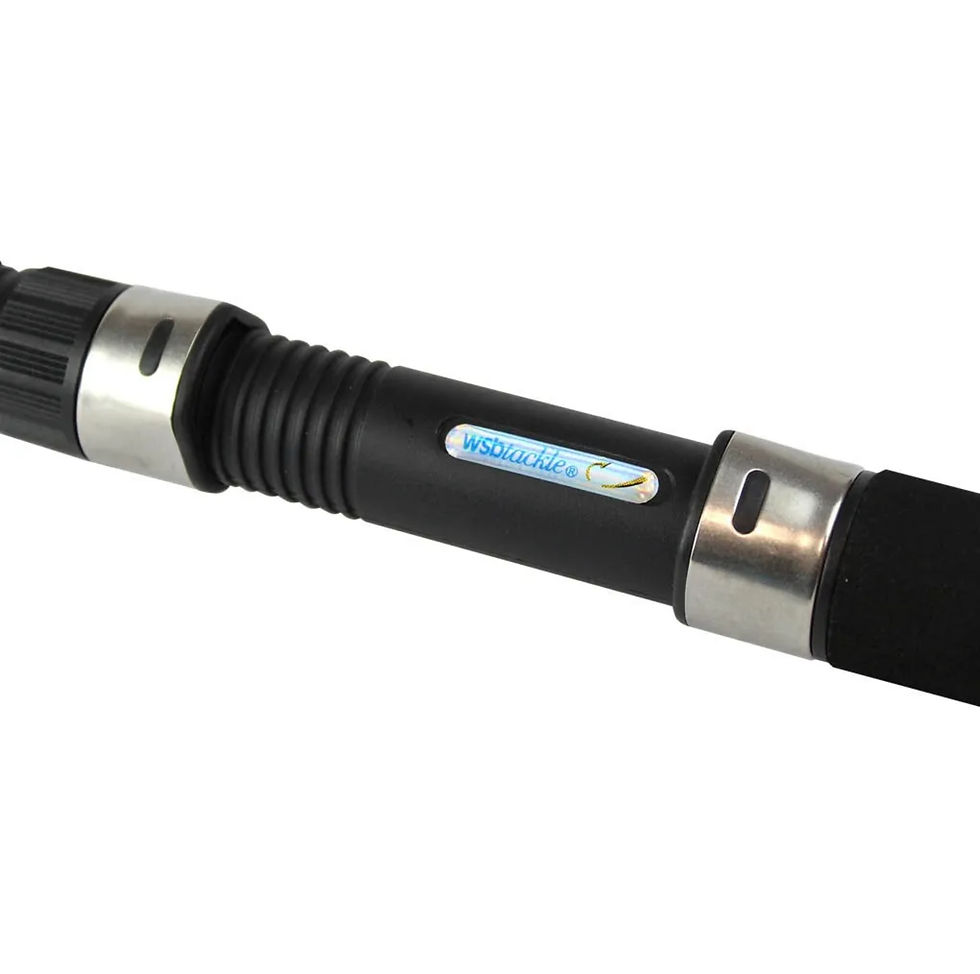 Thumbnail: Sea Fishing Rod