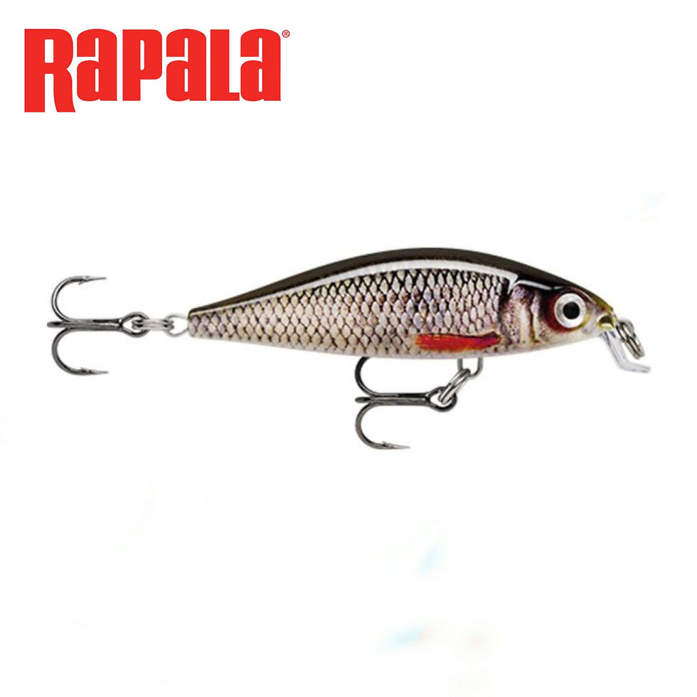Rapala X-Light Minnow Lures - Live Roach