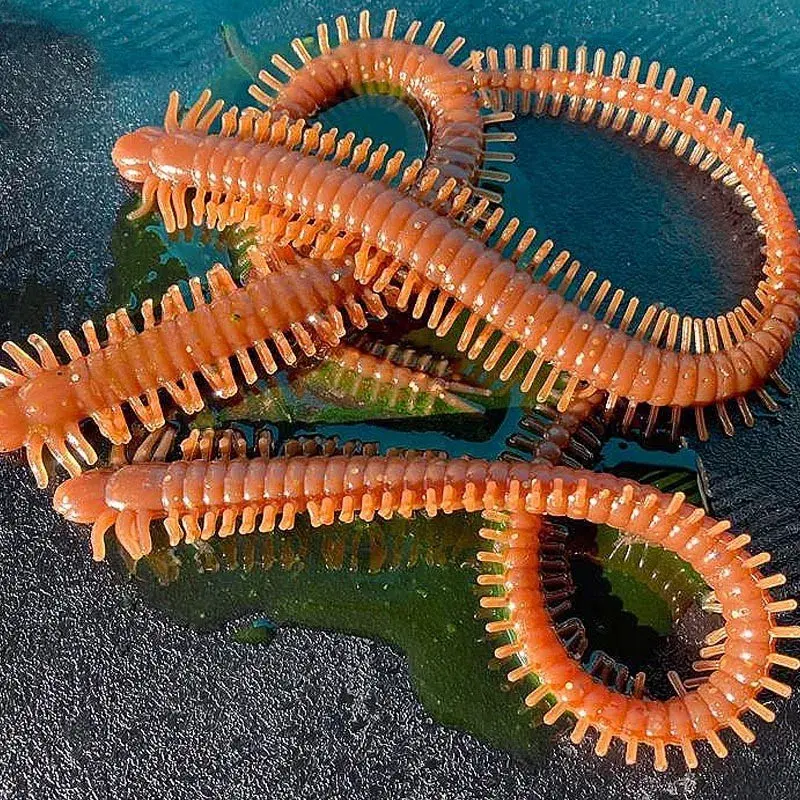 Artificial King Ragworm