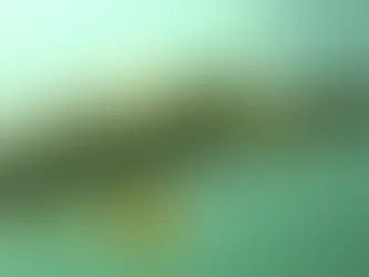 Beginners Guide To Pike Fishing In UK Canals