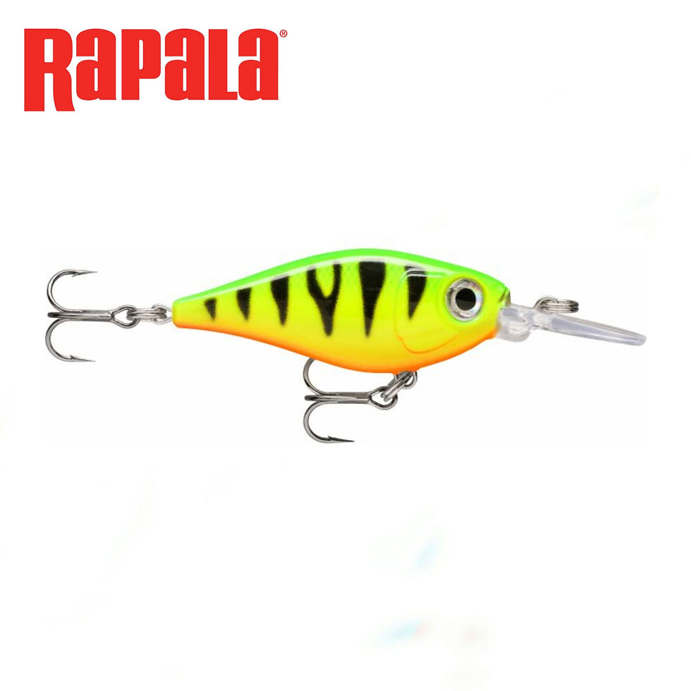 X-Light Shad 04 Fire Tiger