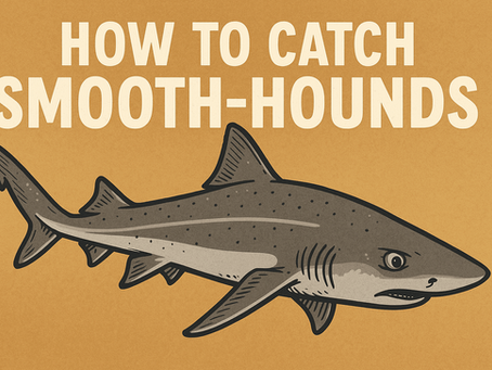How to Catch Smooth Hounds from UK Shores: A Guide to Hooking Britain's Bulldog