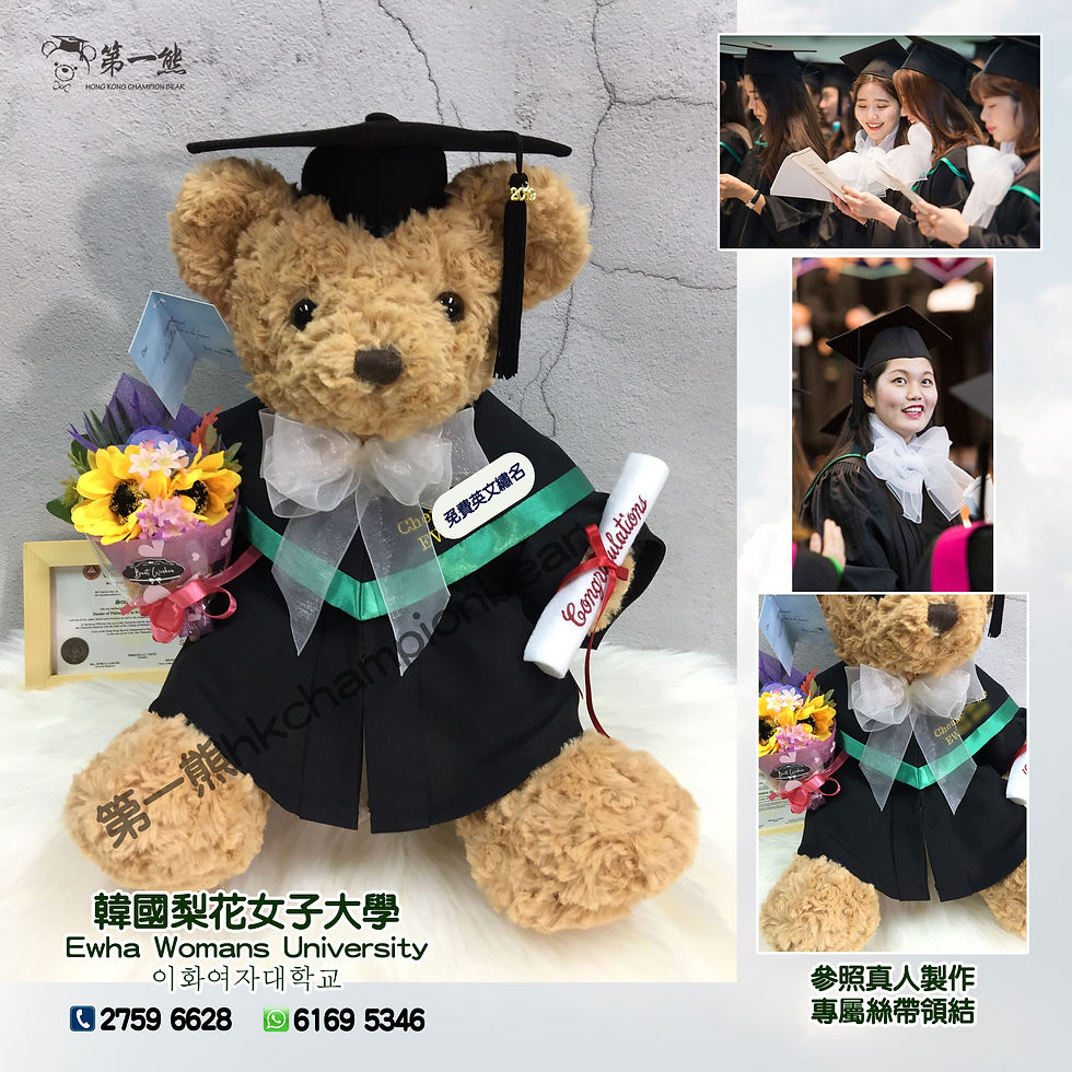 韓國梨花女子大學學士標準熊
