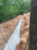 Footer for the Macaw Aviary