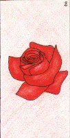 La Rose