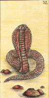 Le Serpent