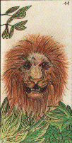 Le Lion