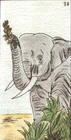 L'Éléphant