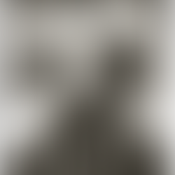 Photography, Live Music & Poetry