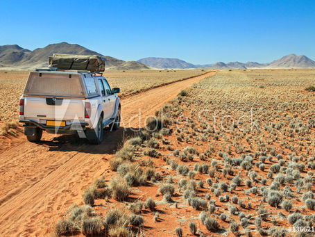 WHY WE NEED ESCAPIST NOVELS IN THE TIME OF COVID