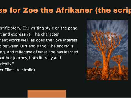The pitch deck of "Zoe the Afrikaner"