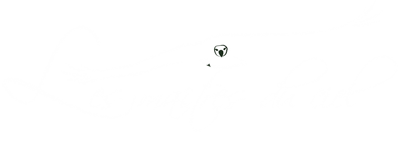 LES_MAITRES_DU_CIEL_LOGO_Logo_définitif-