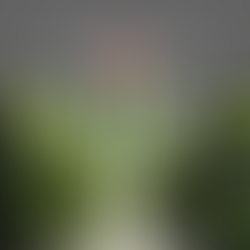 SUSTAINABILITY & TECHNOLOGY