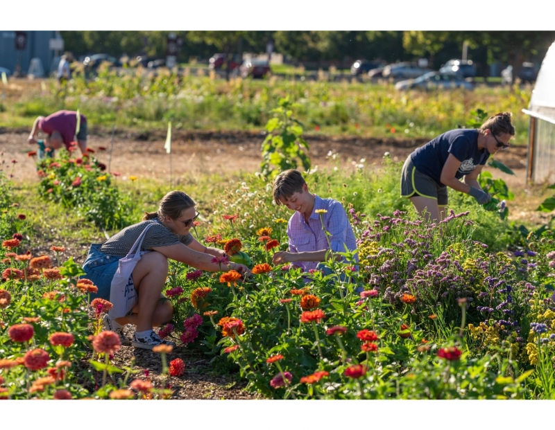 Wildcat Farm U-Pick Flower Night Takes place tonight at 5:00 PM at the CWU Wildcat Farm. The U-Pick Flower Nights are back at the Wildcat Farm! This is your chance to walk through the rows, choose your favorite blooms, and cut your very own unique bouquet. Vases are included while supplies last. Reservations are required and you can now RSVP for the September 11th U-Pick Flower Night. Registration Fee: $20