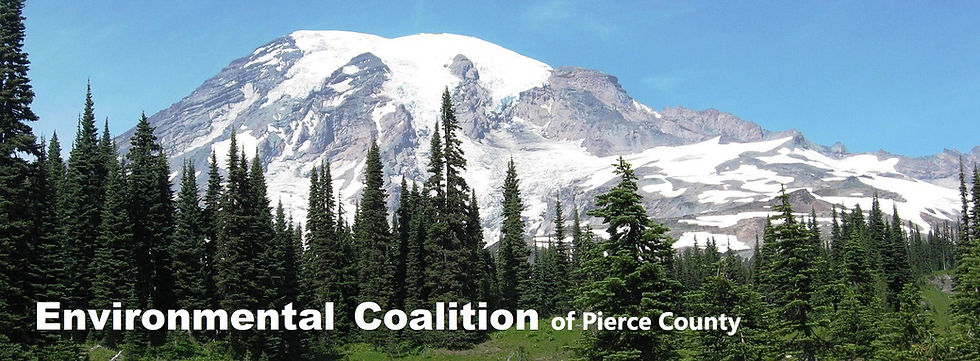 Env Coalition Logo.jpeg