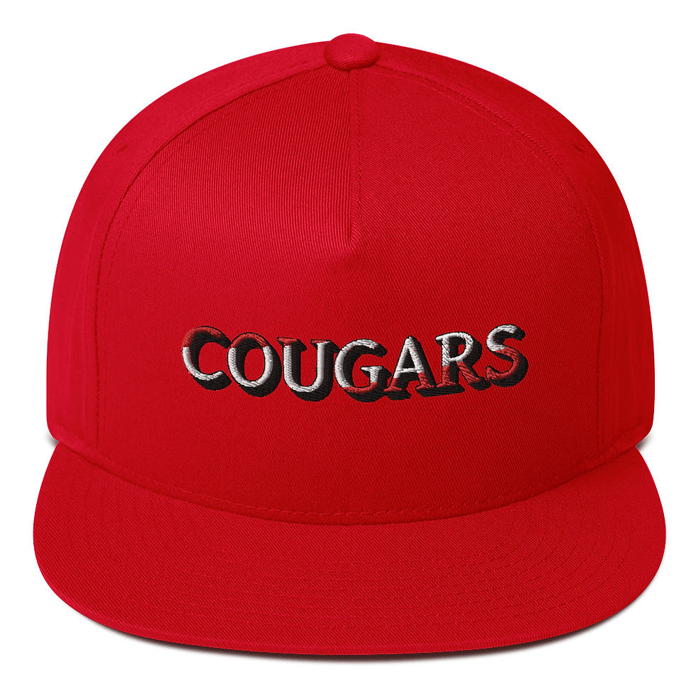 Thumbnail: Charleroi - Cougars Multi Color Stitch
