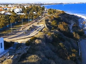 Converting washed-up seaweed into biofuel