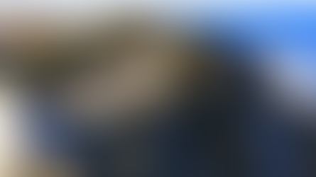 Converting washed-up seaweed into biofuel