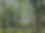 1000007376 (1)_edited.png