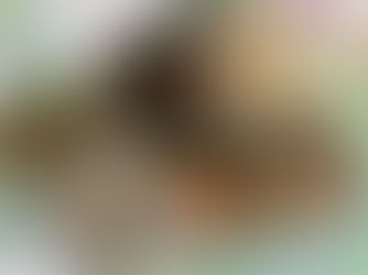 2023’s most popular Bitcoin alternatives