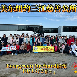 2024年公所乡亲去Evergreen Orchard摘梨