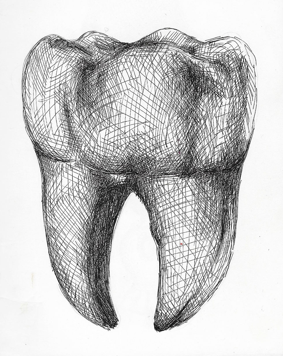 tooth.jpg