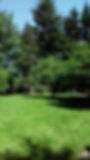 BACK PLAY FIELD