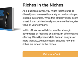 Unlocking the Value of Your Business – The Riches Are in the Niches