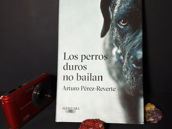 Los perros duros no bailan