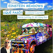 Einstein 2 Cropped.png