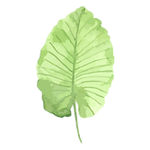 Tropische Blätter 1