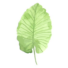 Hojas tropicales 1