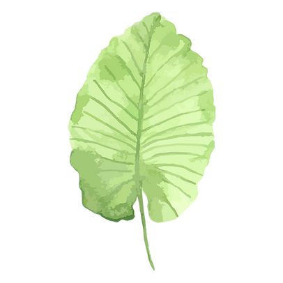 leaf
