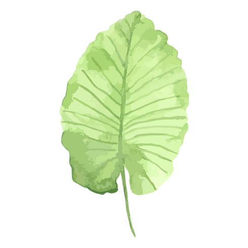 Tropical Leaves 1