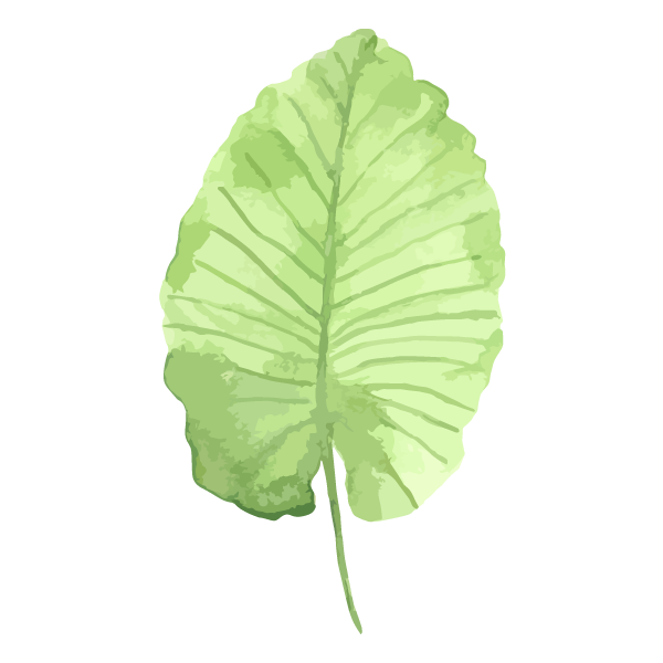Tropical Leaves 1