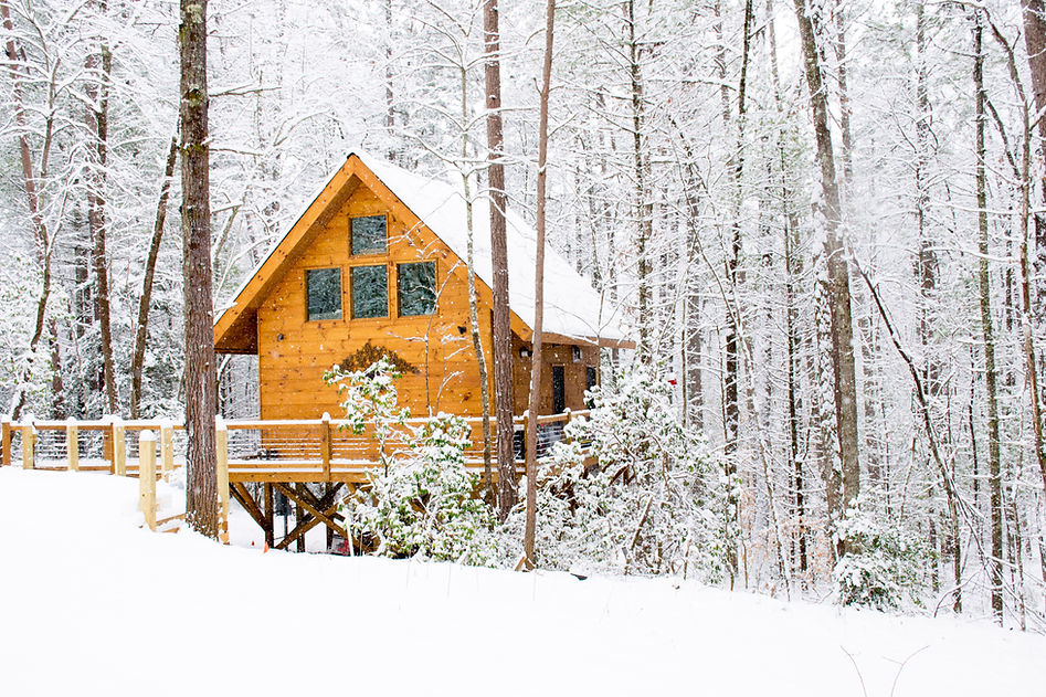 Cabin Rental