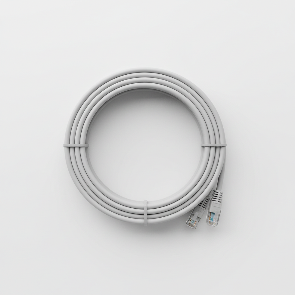 Cable Red Cat 6