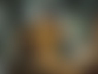 RAD REVIEW: LAALI is a masterclass in cinematic shots starring Pankaj Tripathi!