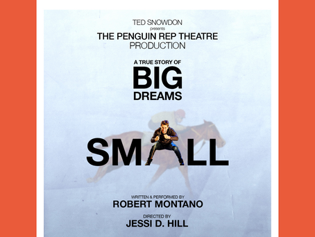 SMALL WINS DRAMA DESK AND OUTER CRITICS CIRCLE AWARD NOMINEE -OUTSTANDING SOLO PERFORMANCE!