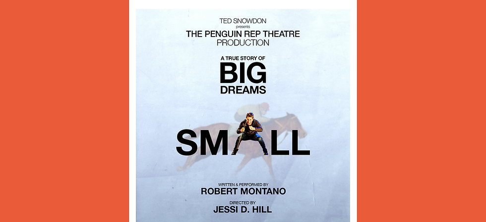 SMALL WINS DRAMA DESK AND OUTER CRITICS CIRCLE AWARD NOMINEE -OUTSTANDING SOLO PERFORMANCE!
